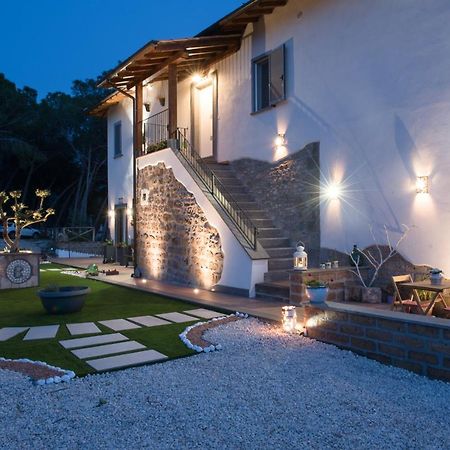 Le Terrazze Di Casa Bonelli Bed & Breakfast Vetralla Dış mekan fotoğraf