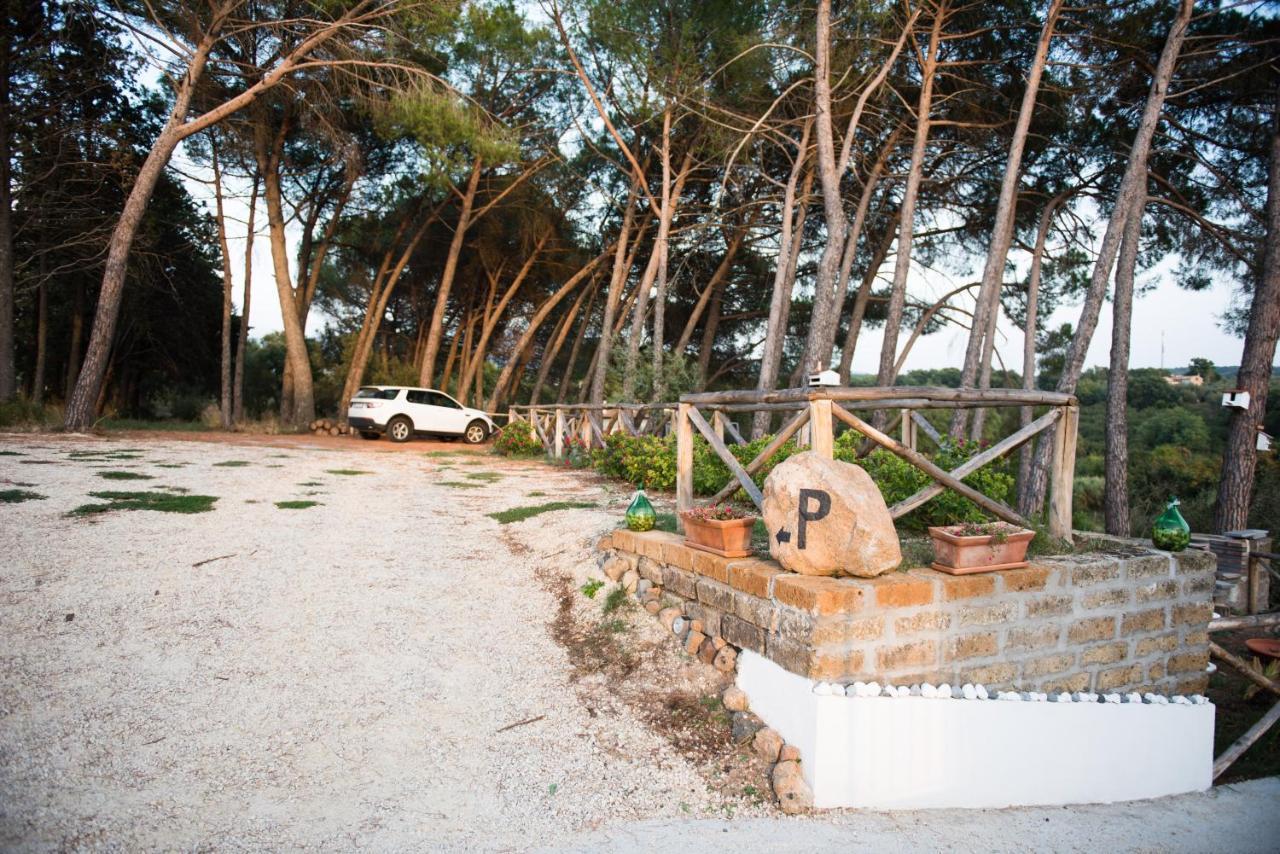 Le Terrazze Di Casa Bonelli Bed & Breakfast Vetralla Dış mekan fotoğraf